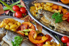 trout-gcef2d4eb9_1280