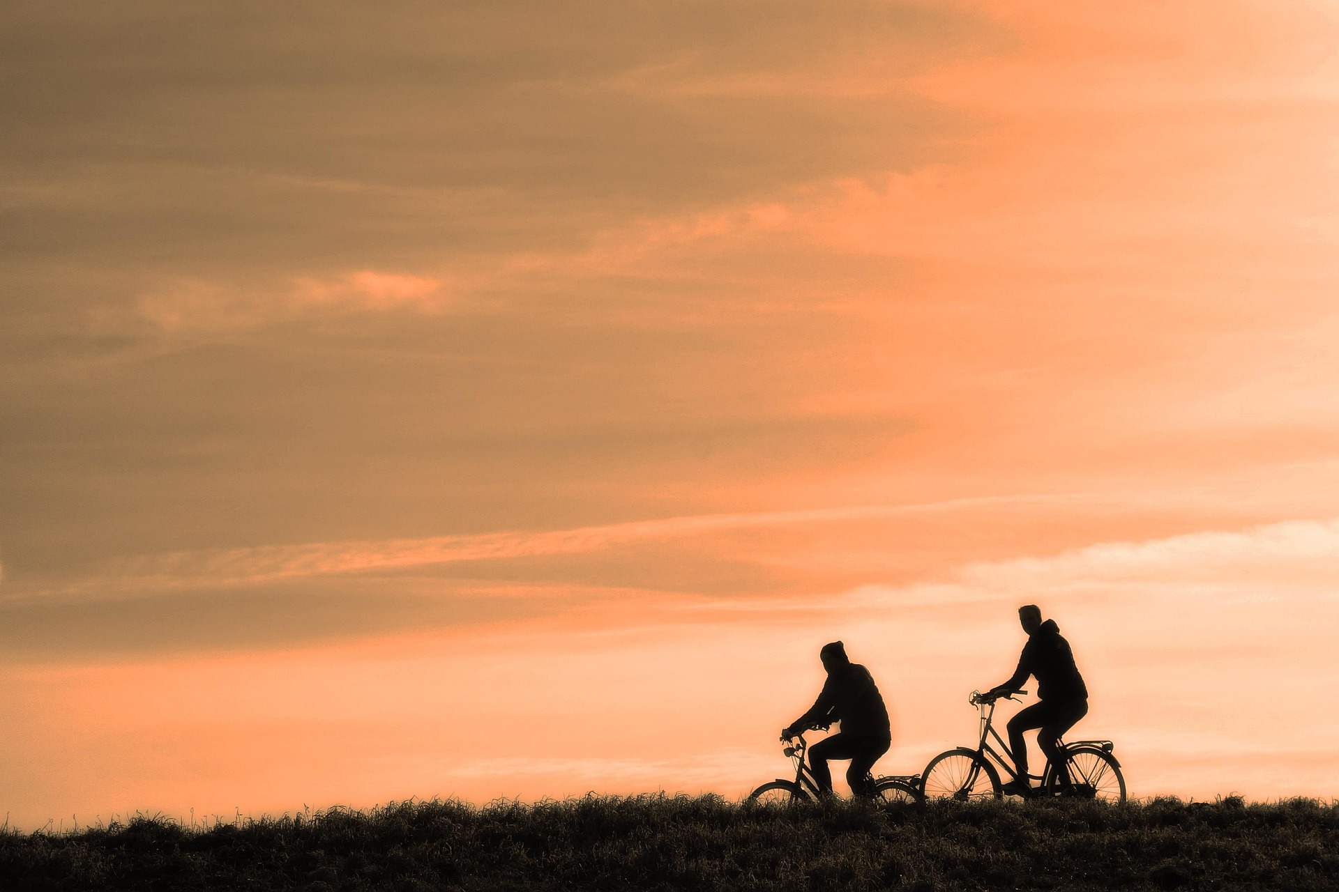 Mit dem Fahrrad auf dem Froschradweg durch die Oberlausitz